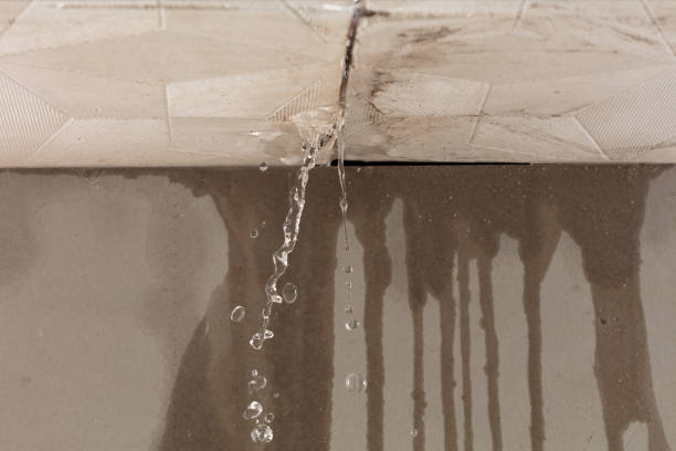 Professional Structural Drying technician working in Ashuelot, NH
